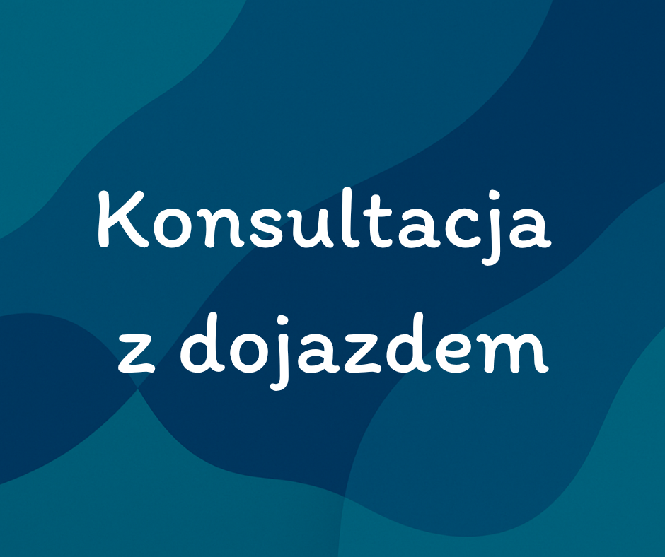 Konsultacja z dojazdem